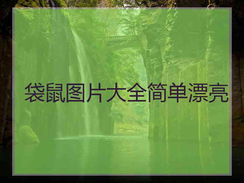 袋鼠图片大全简单漂亮