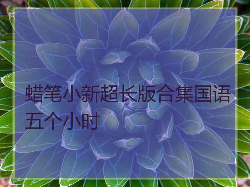 蜡笔小新超长版合集国语五个小时