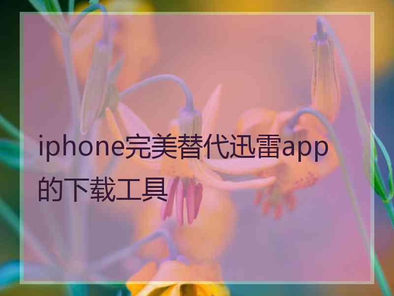 iphone完美替代迅雷app的下载工具