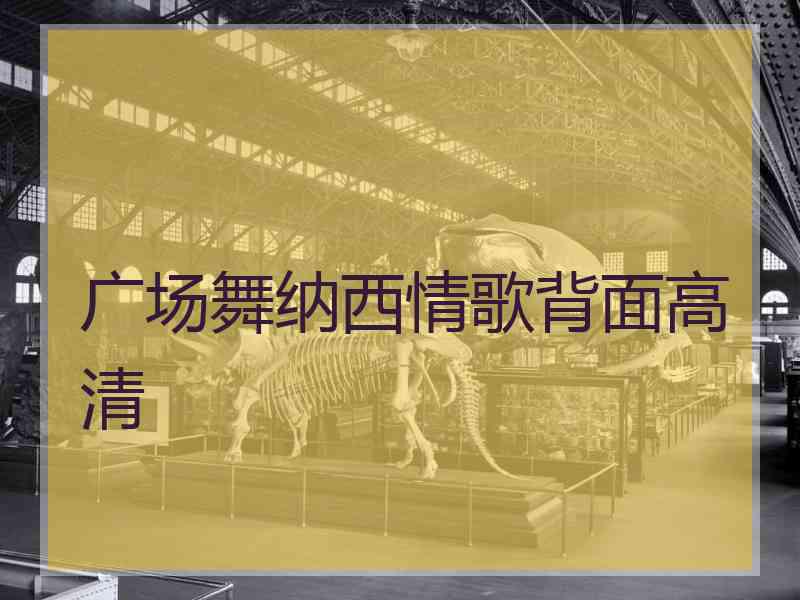 广场舞纳西情歌背面高清