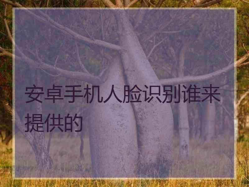 安卓手机人脸识别谁来提供的