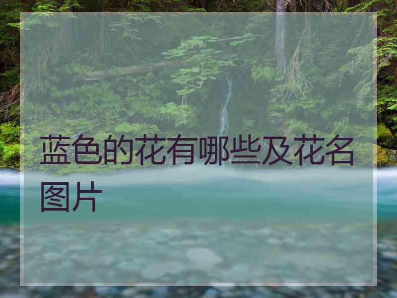 蓝色的花有哪些及花名图片