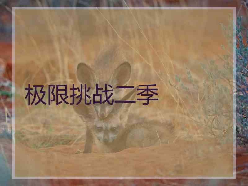 极限挑战二季