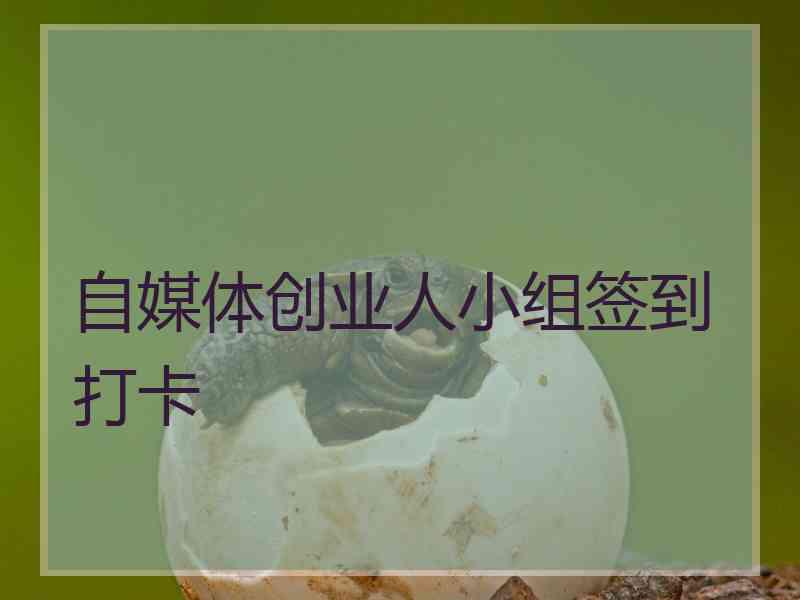 自媒体创业人小组签到打卡