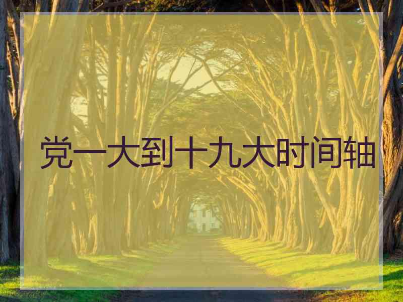 党一大到十九大时间轴