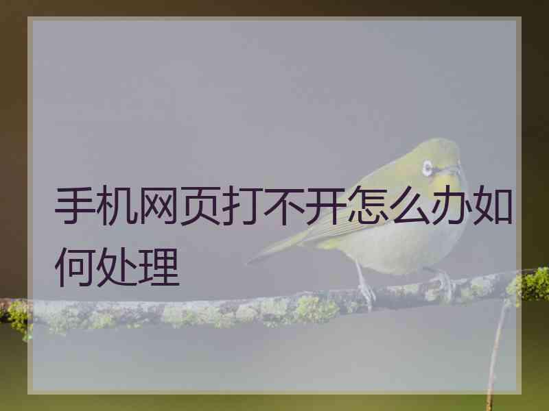 手机网页打不开怎么办如何处理