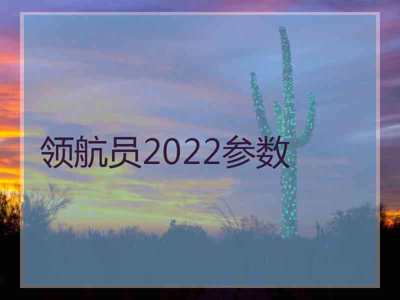 领航员2022参数