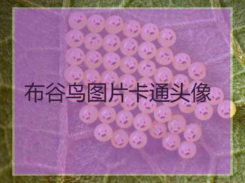 布谷鸟图片卡通头像