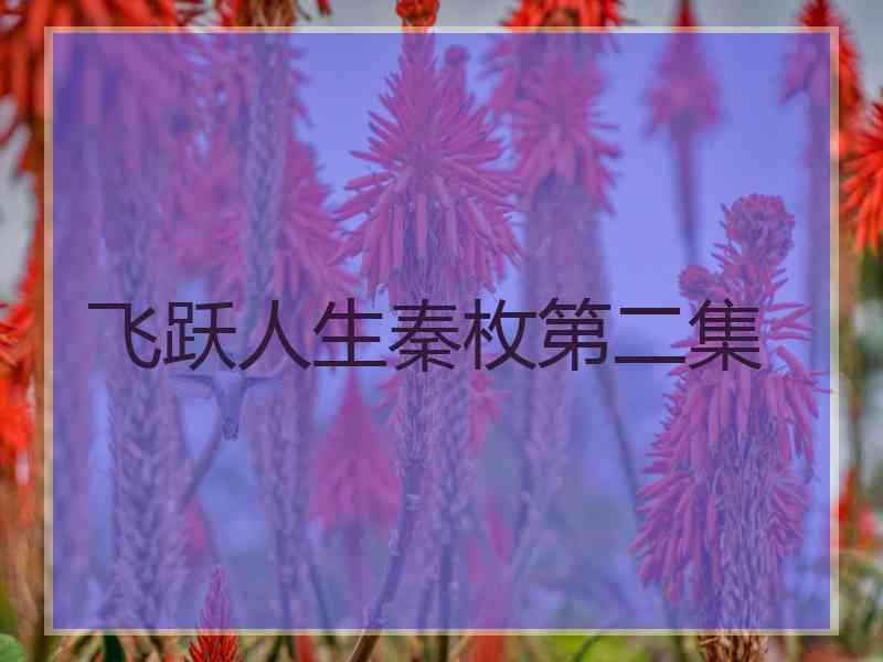 飞跃人生秦枚第二集