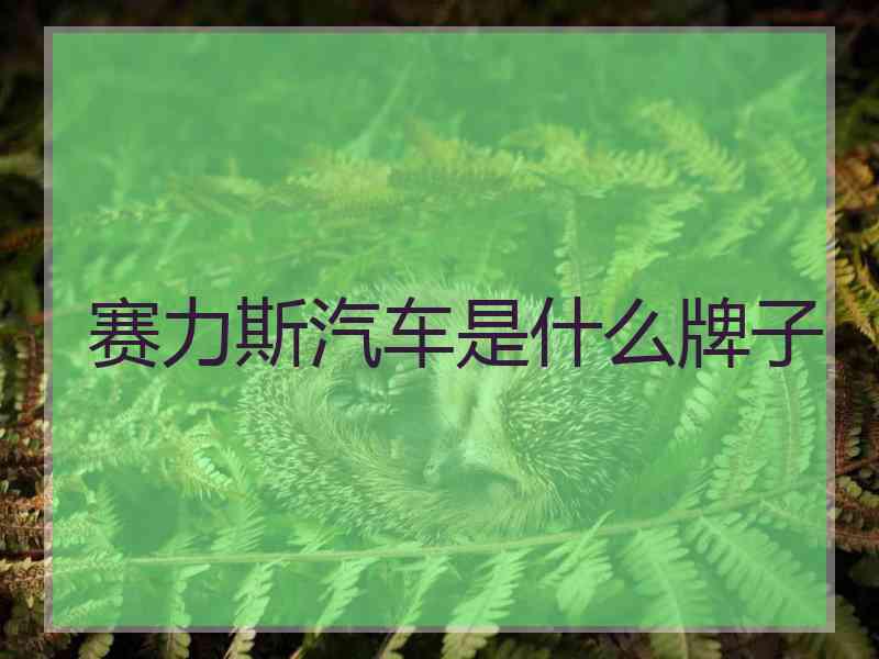 赛力斯汽车是什么牌子
