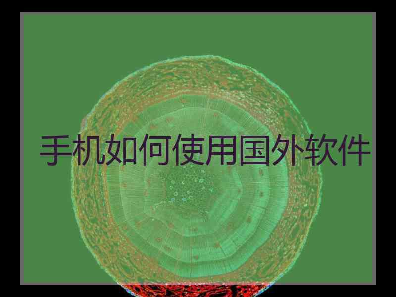 手机如何使用国外软件