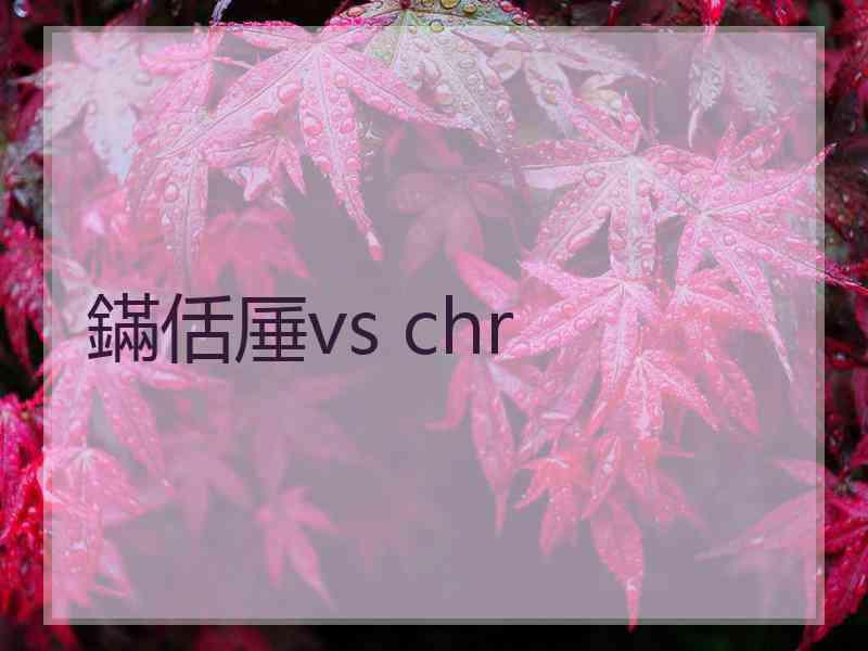 鏋佸厜vs chr