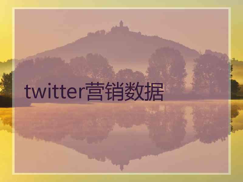twitter营销数据