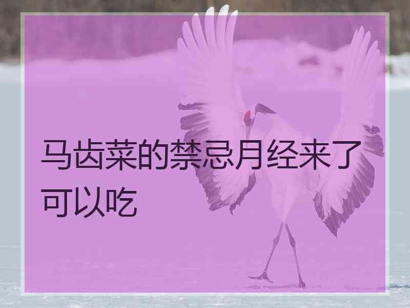 马齿菜的禁忌月经来了可以吃