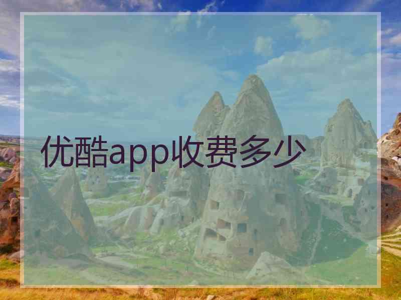 优酷app收费多少