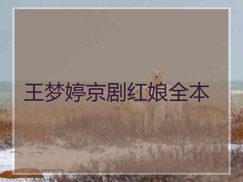 王梦婷京剧红娘全本