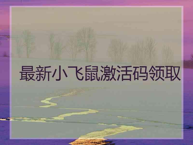 最新小飞鼠激活码领取