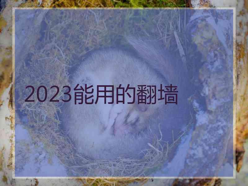 2023能用的翻墙
