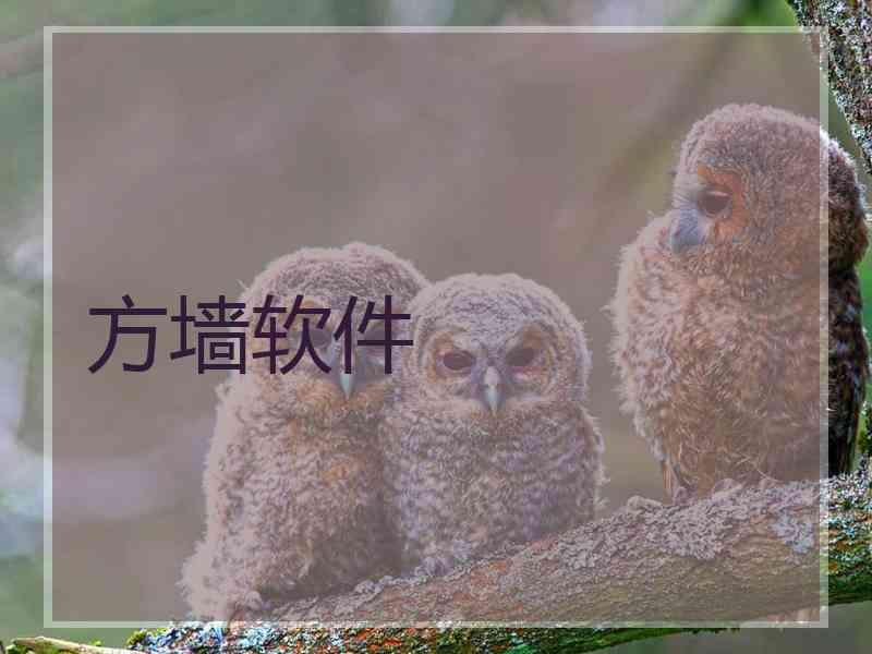 方墙软件