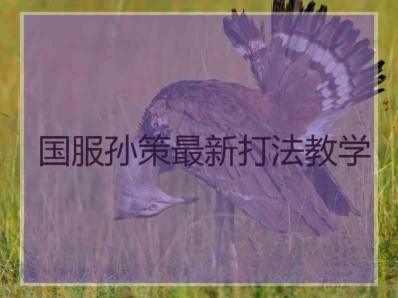 国服孙策最新打法教学