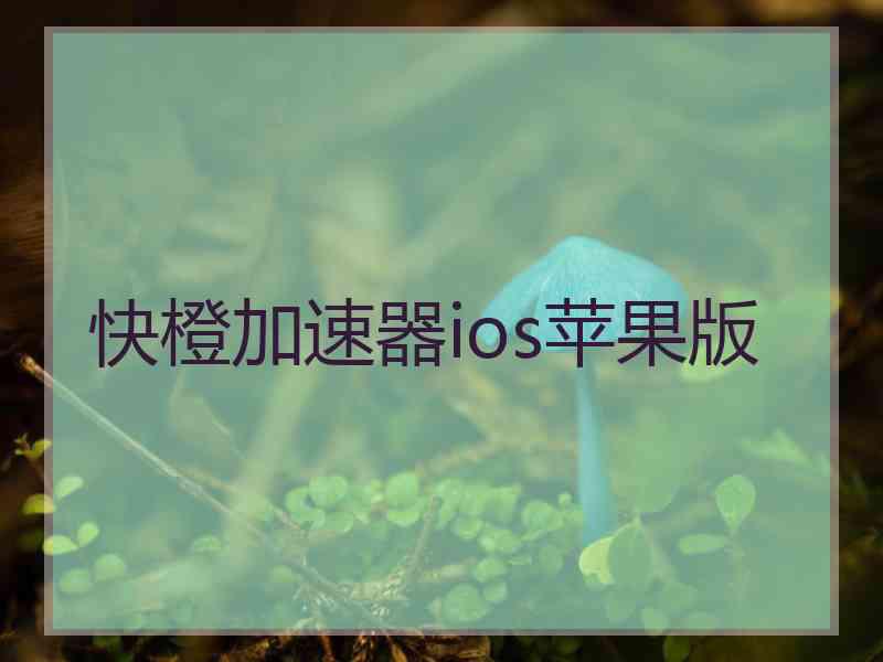 快橙加速器ios苹果版