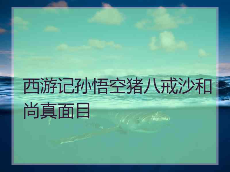 西游记孙悟空猪八戒沙和尚真面目