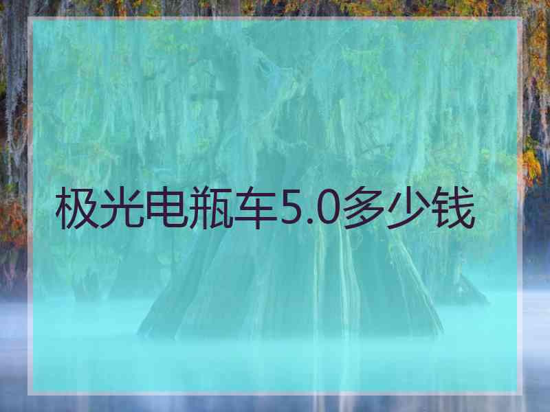极光电瓶车5.0多少钱