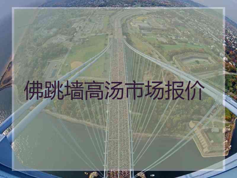 佛跳墙高汤市场报价
