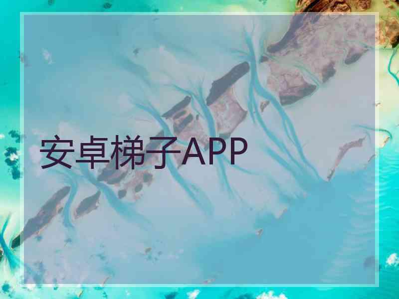 安卓梯子APP