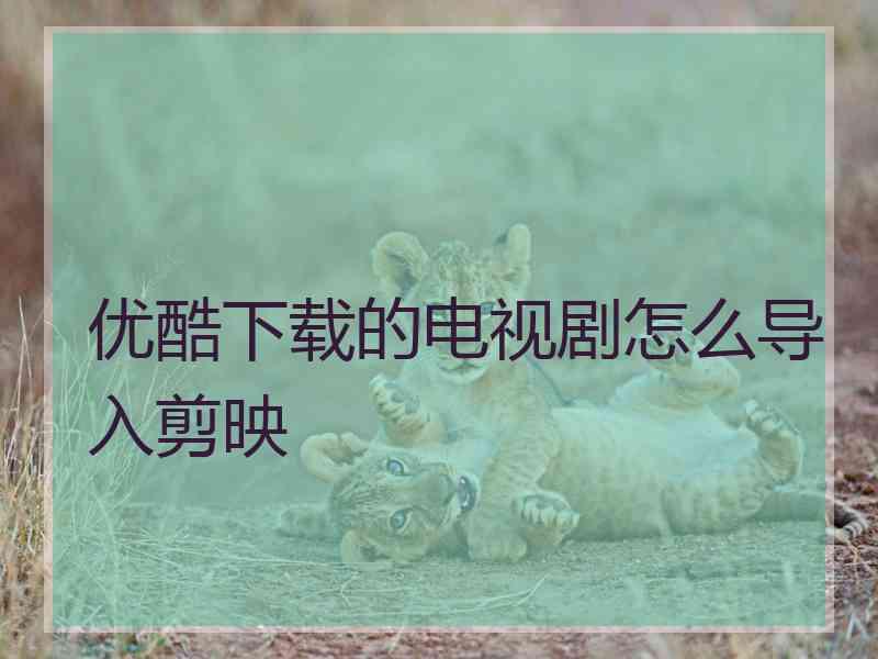 优酷下载的电视剧怎么导入剪映