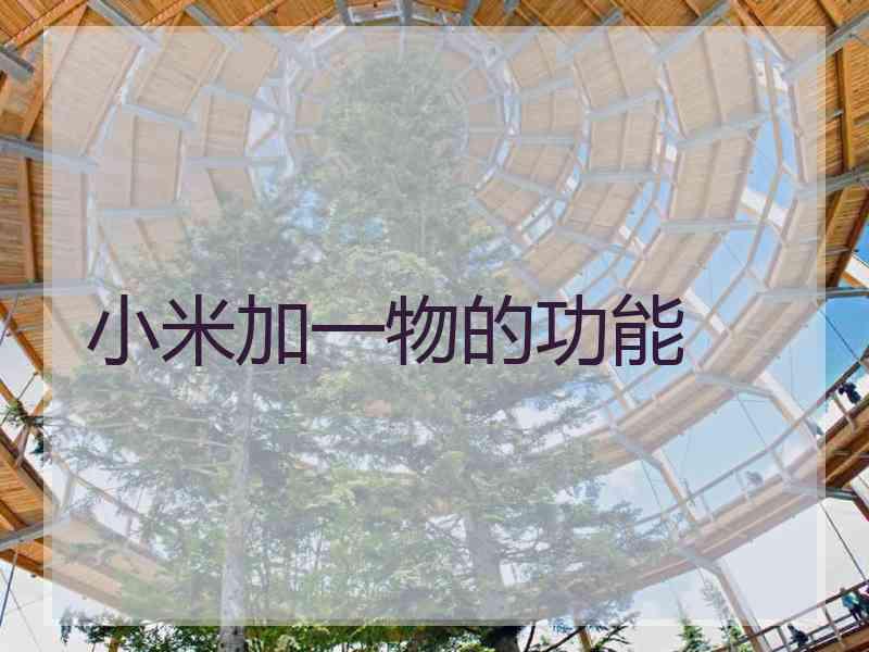 小米加一物的功能