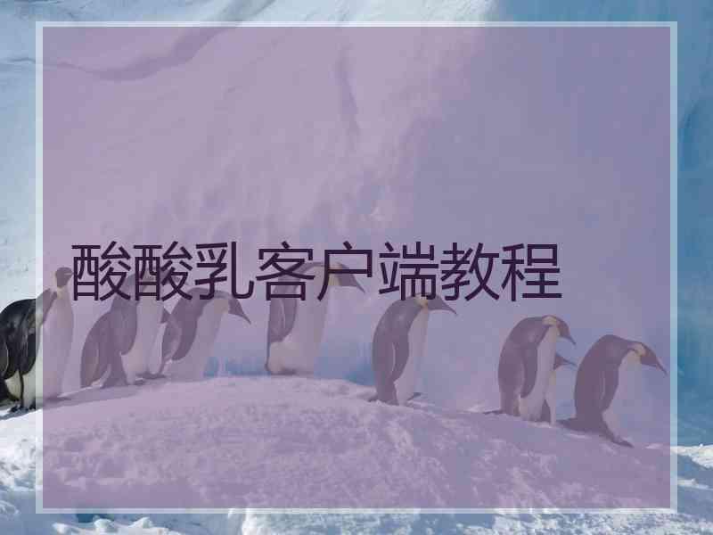 酸酸乳客户端教程