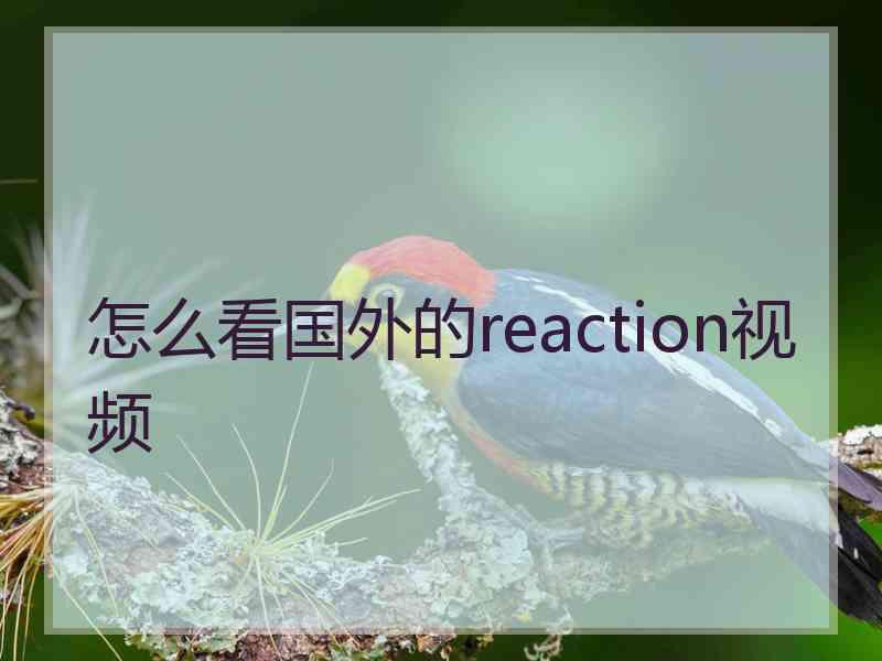 怎么看国外的reaction视频