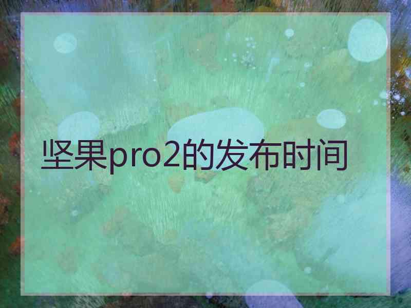 坚果pro2的发布时间