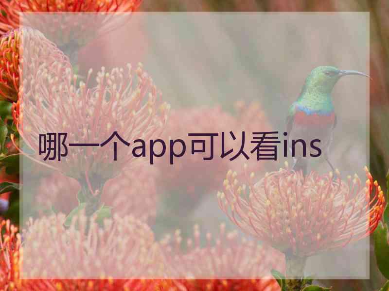 哪一个app可以看ins