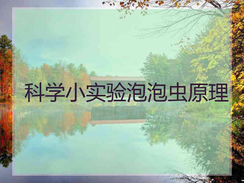 科学小实验泡泡虫原理