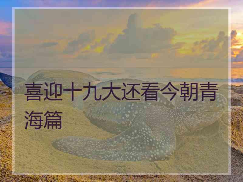 喜迎十九大还看今朝青海篇