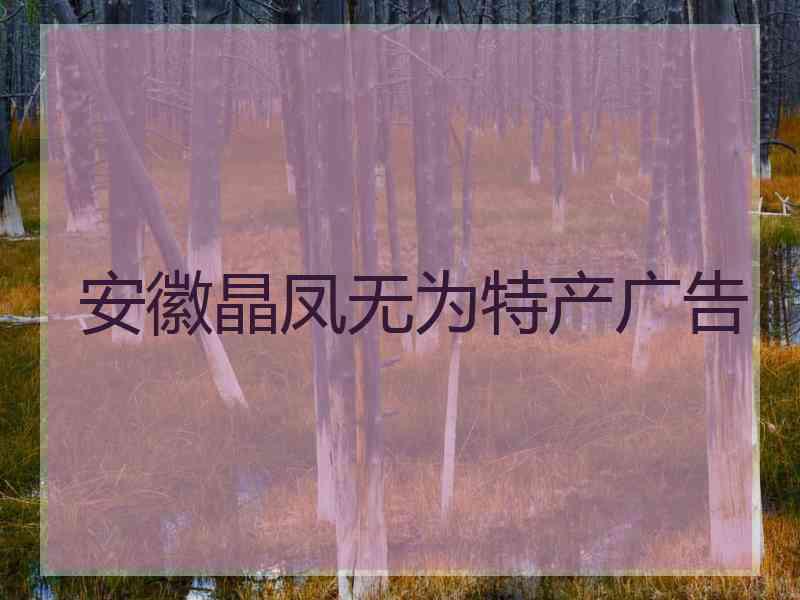 安徽晶凤无为特产广告
