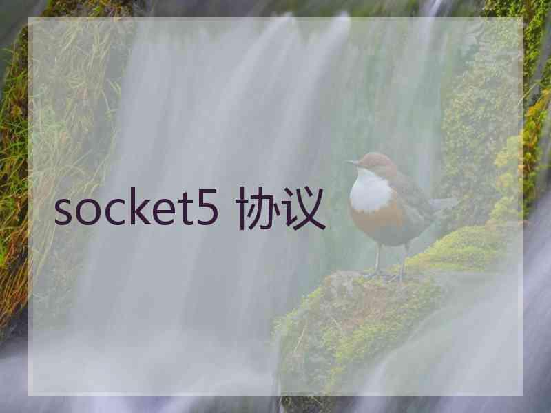 socket5 协议