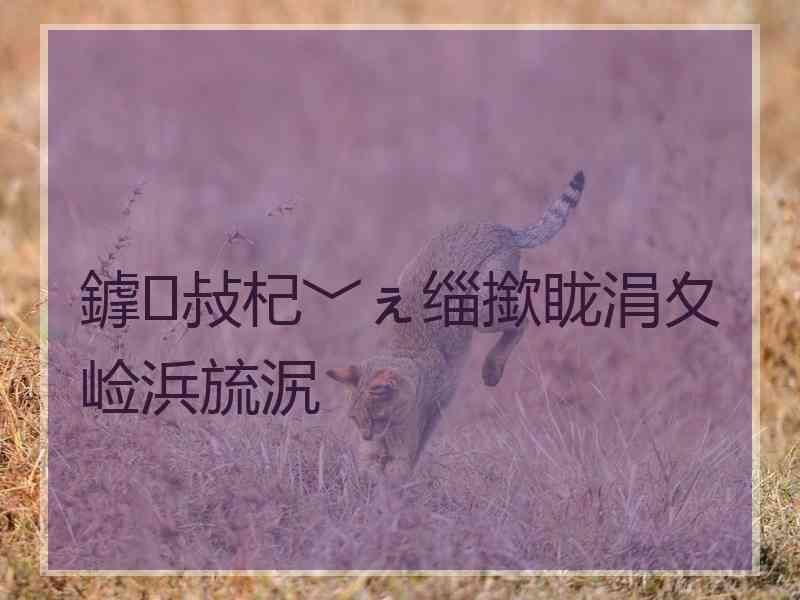 鎼敊杞﹀ぇ缁撳眬涓夊崄浜旈泦