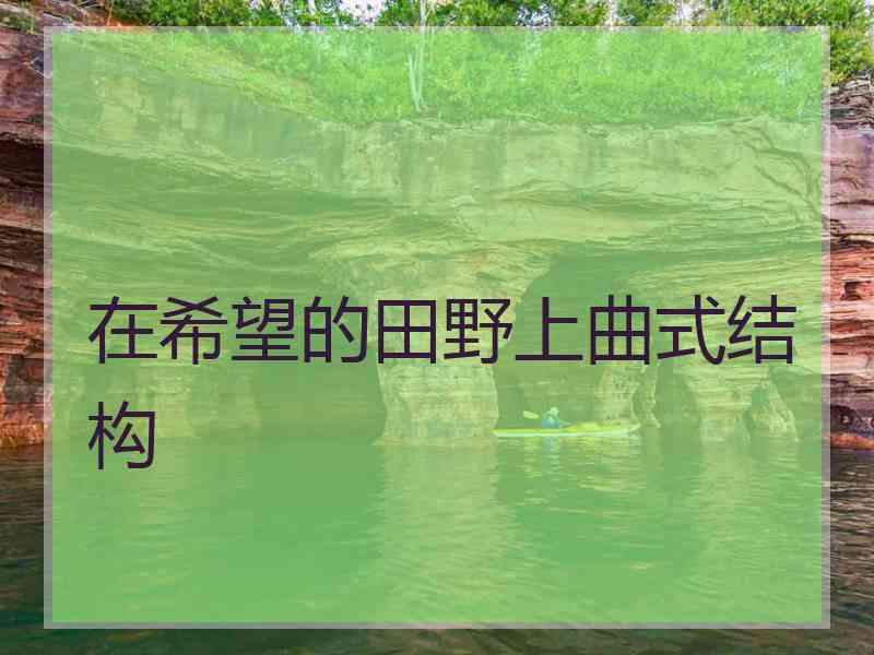 在希望的田野上曲式结构