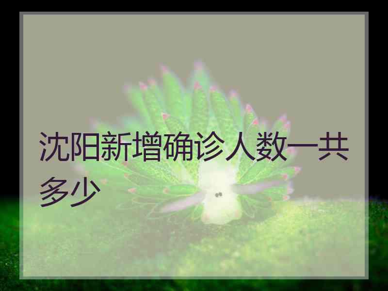沈阳新增确诊人数一共多少