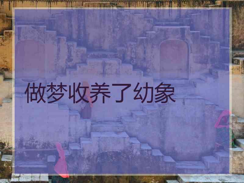 做梦收养了幼象