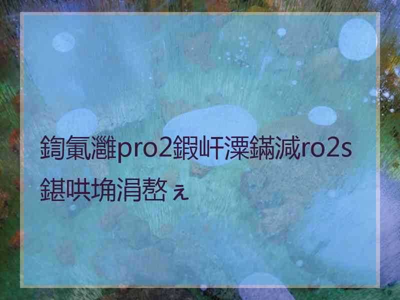 鍧氭灉pro2鍜屽潥鏋減ro2s鍖哄埆涓嶅ぇ
