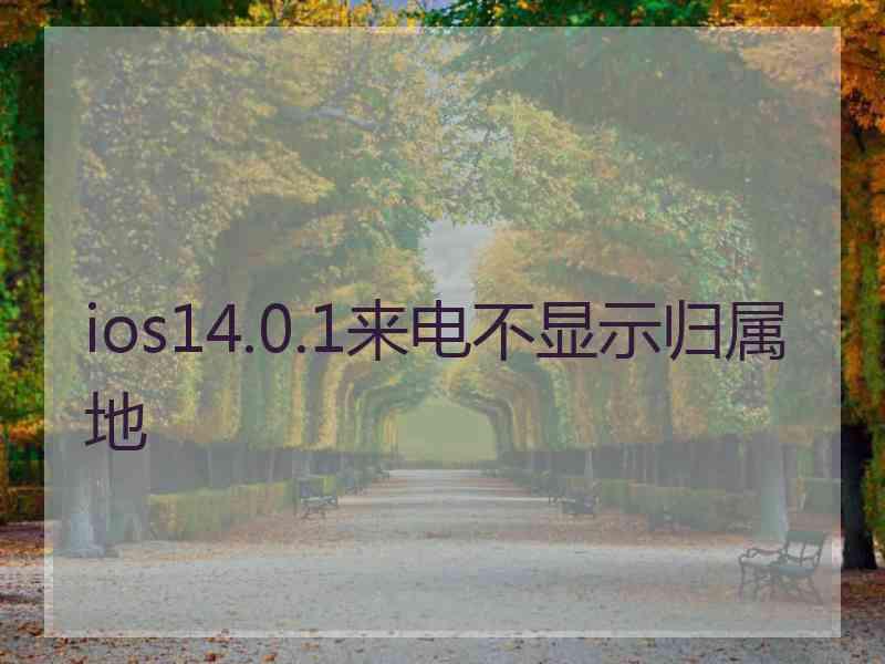 ios14.0.1来电不显示归属地