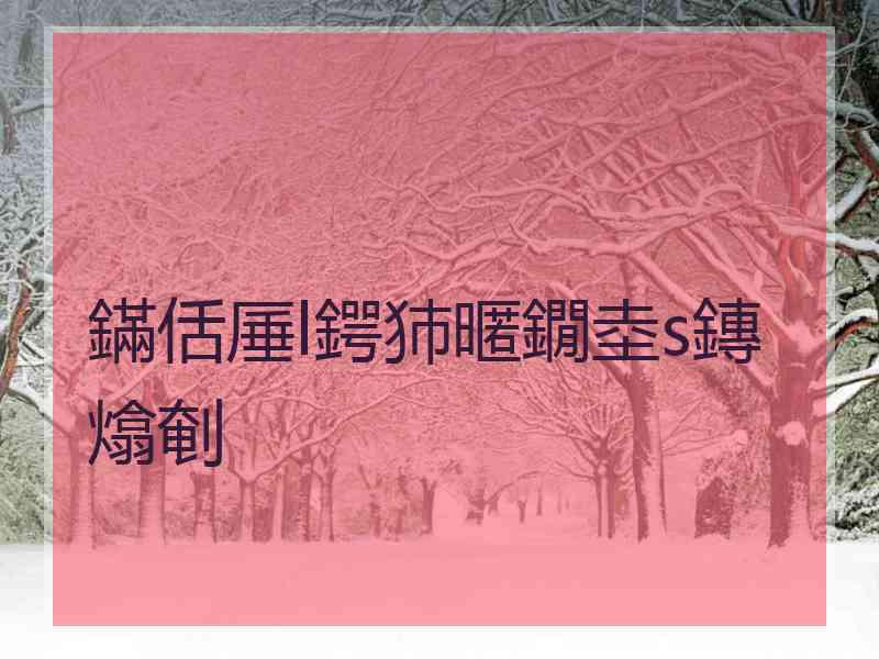 鏋佸厜l鍔犻暱鐗坴s鏄熻剦