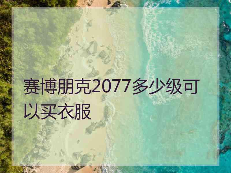 赛博朋克2077多少级可以买衣服