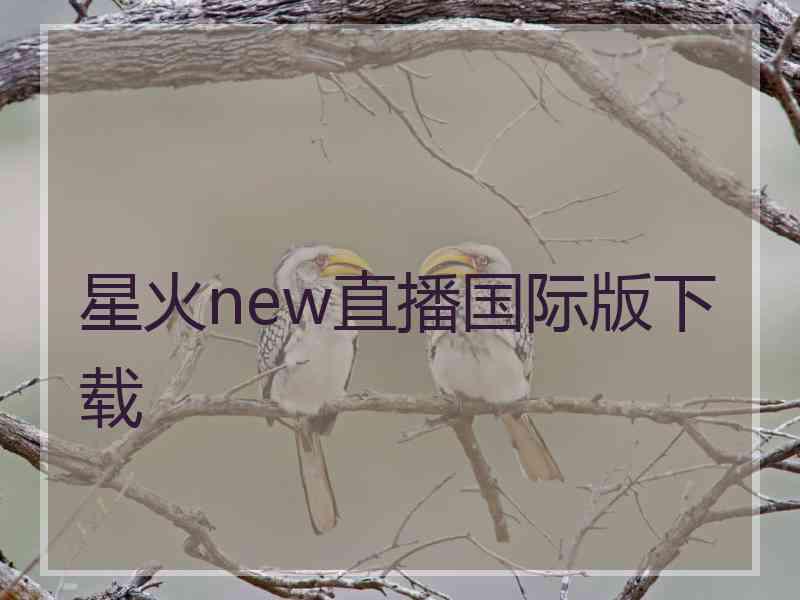 星火new直播国际版下载