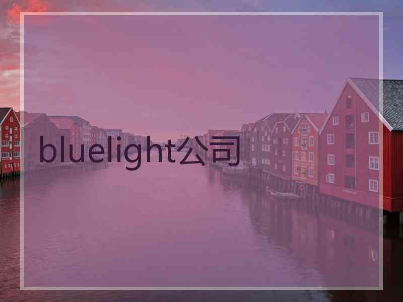 bluelight公司