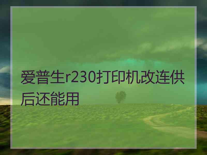 爱普生r230打印机改连供后还能用